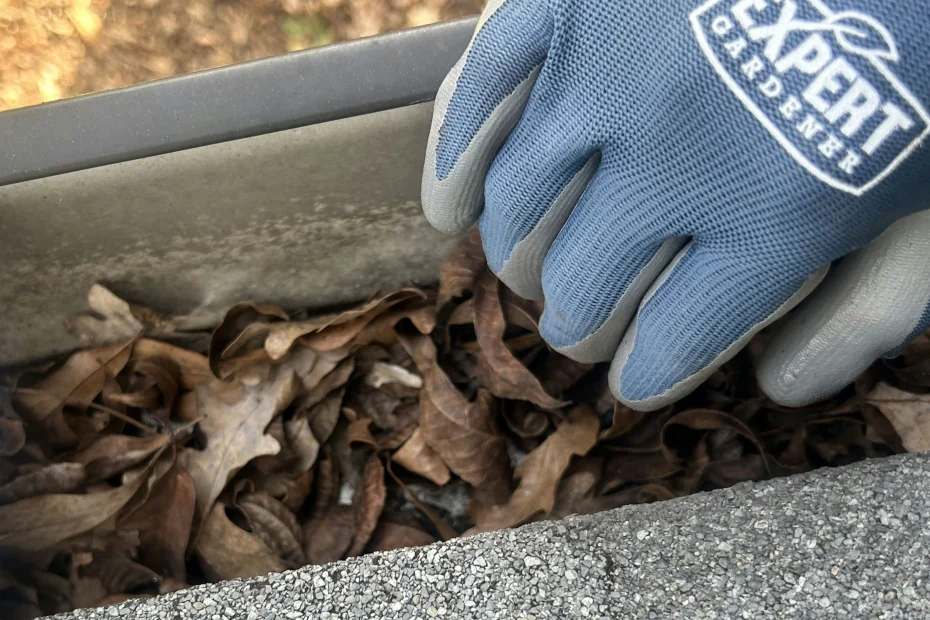 Gutter Cleaning Brevard