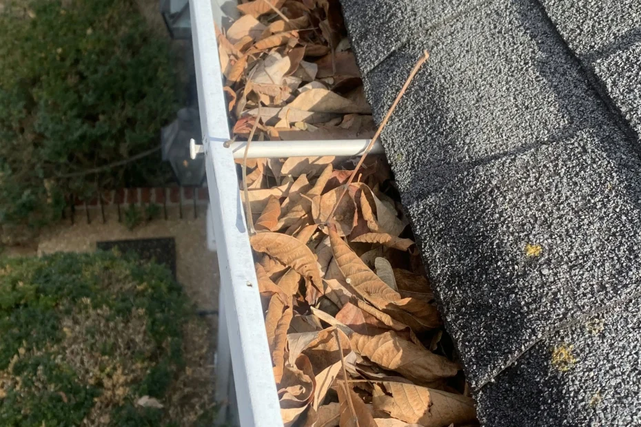 Gutter Cleaning Brevard