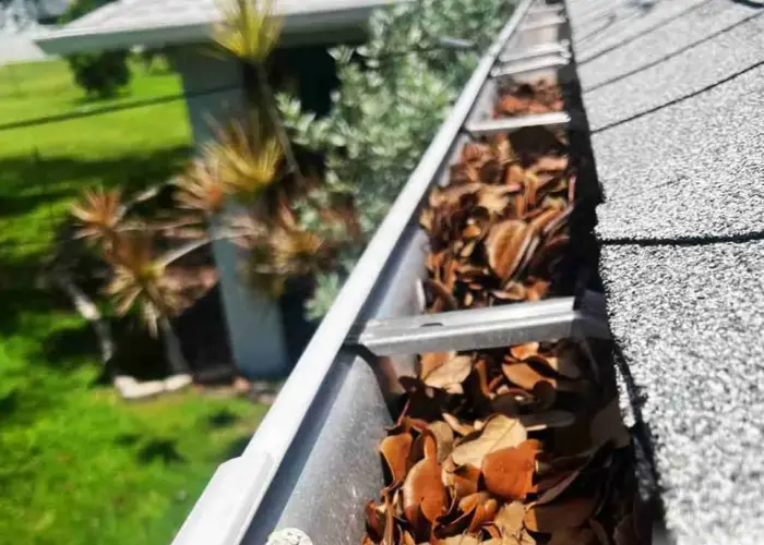 Gutter Cleaning Brevard home page